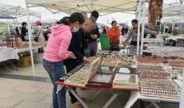 阿拉善展会爆料最新消息,前沿科技与绿色未来精彩纷呈